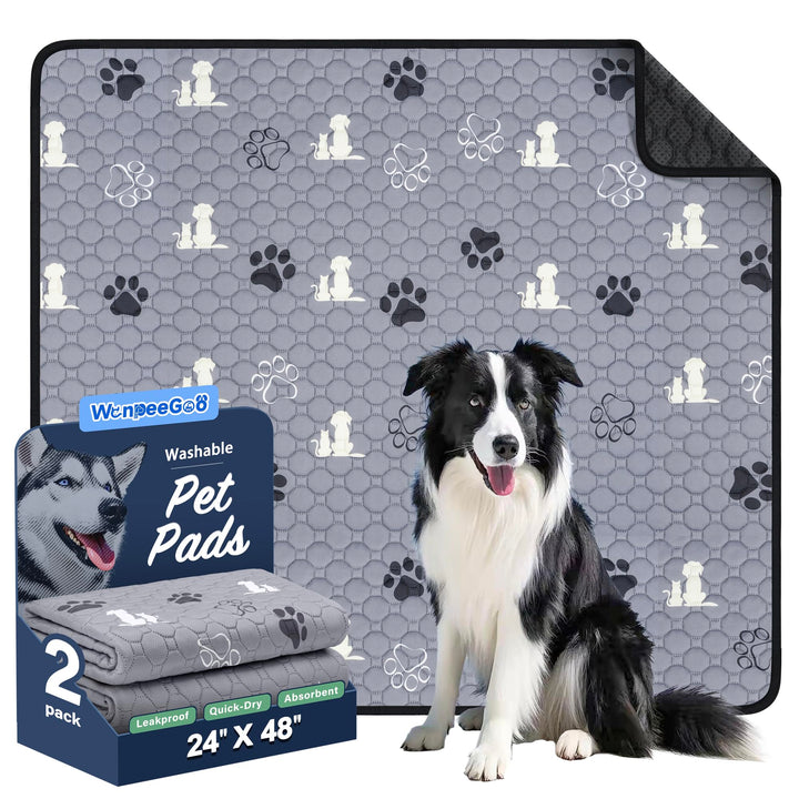 WanpeeGoo washable pee pad 2-pack for convenient puppy training and cleaning.