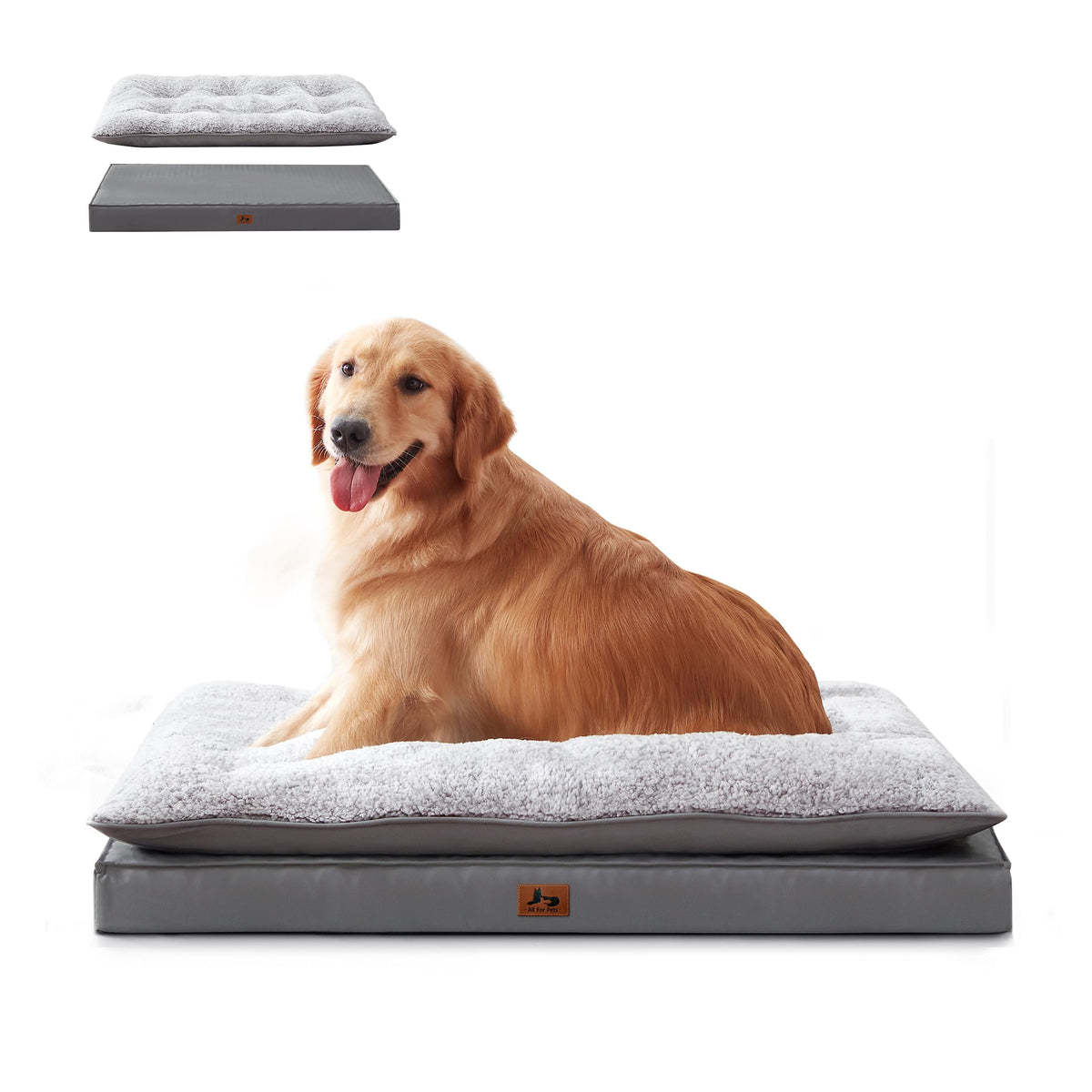 Warmrest 2-Pack orthopedic dog bed with dual-pack support for joints.