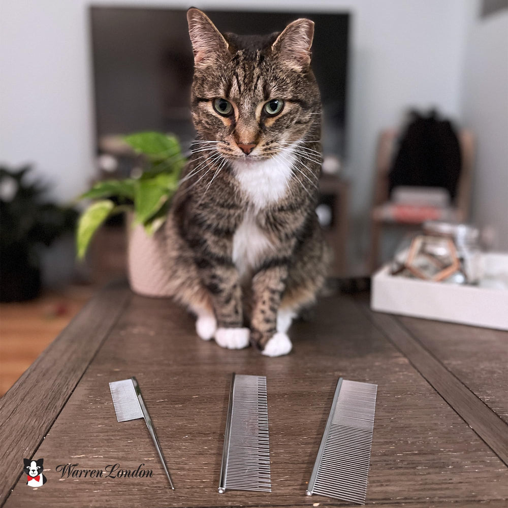 Warren London Carding Cat Comb all coat types suitable for daily use