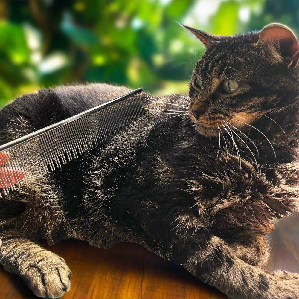 Warren London Carding Cat Comb rounded tips for gentle grooming