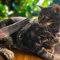 Warren London Carding Cat Comb rounded tips for gentle grooming