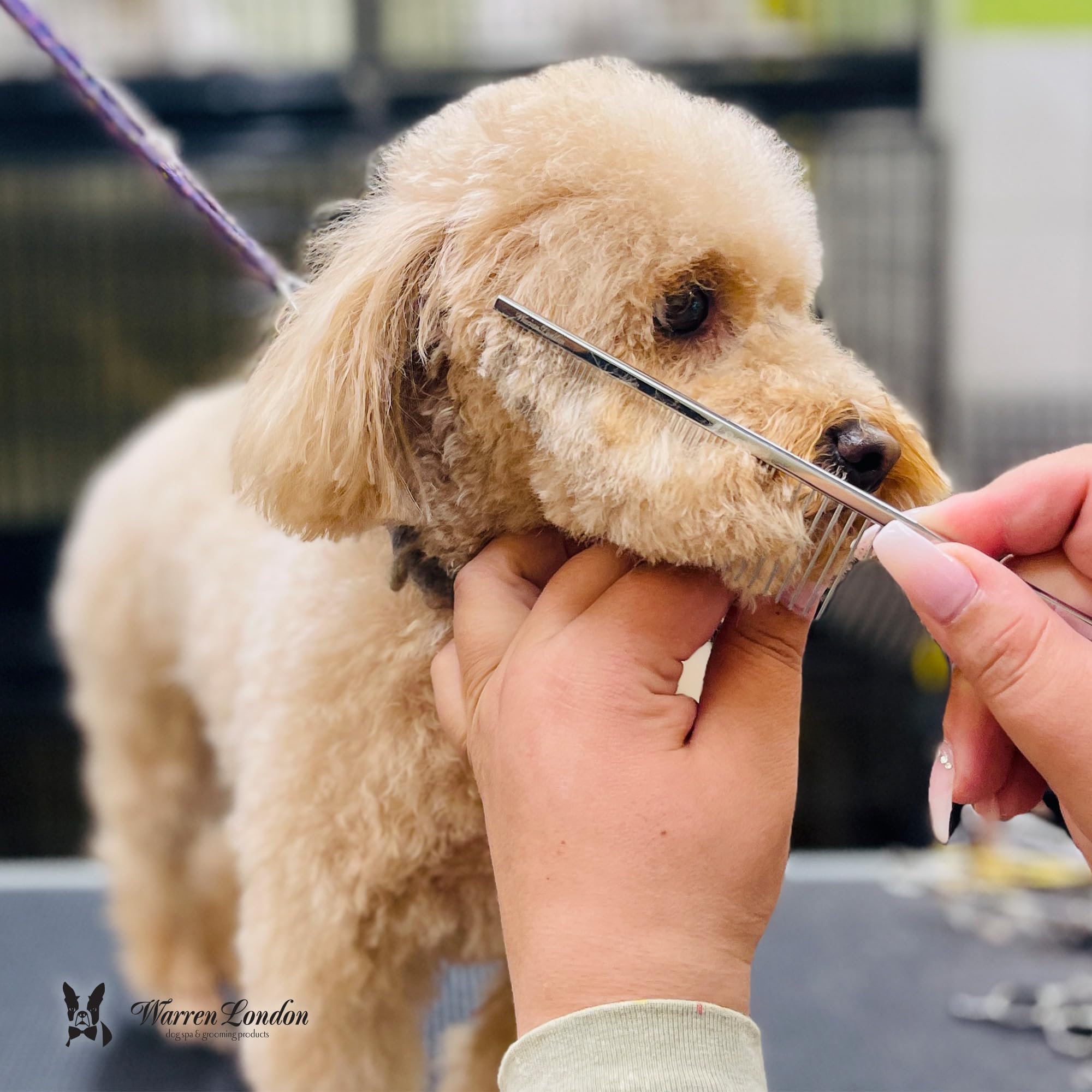 Comb glides through a pet coat, showing smooth brushing with Warren London tool.