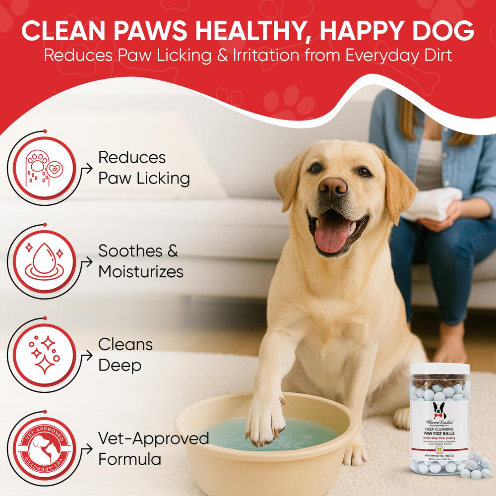 Warren London Soak removes dirt and odors after walks
