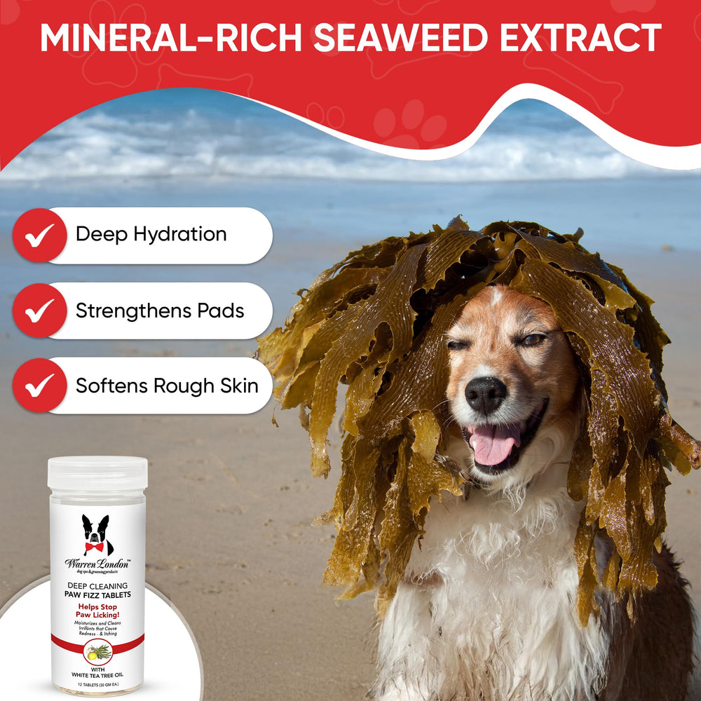 Warren London Deep Cleaning Paw Soak shows tea tree oil action on irritated paws