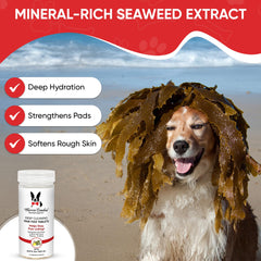 Warren London Deep Cleaning Paw Soak shows tea tree oil action on irritated paws