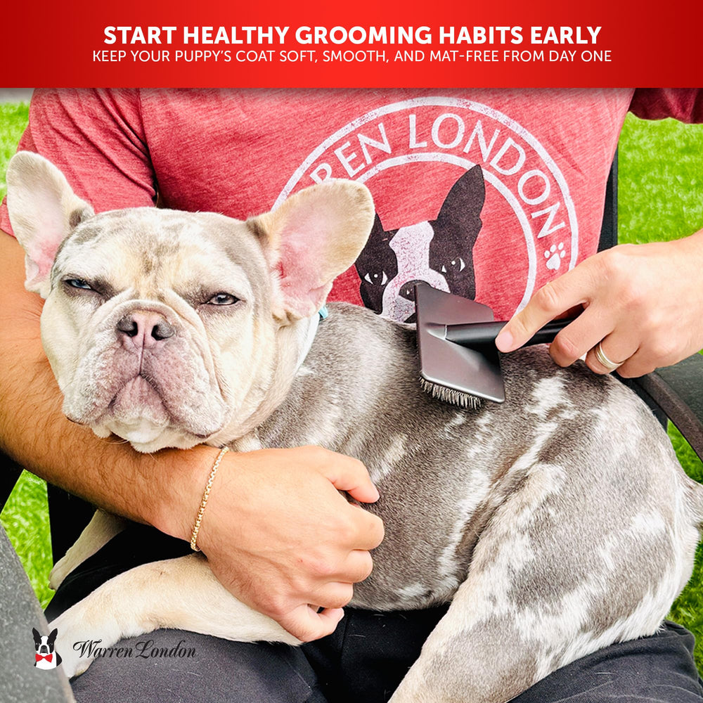 Warren London ergonomic grip supports steady control during brushing.