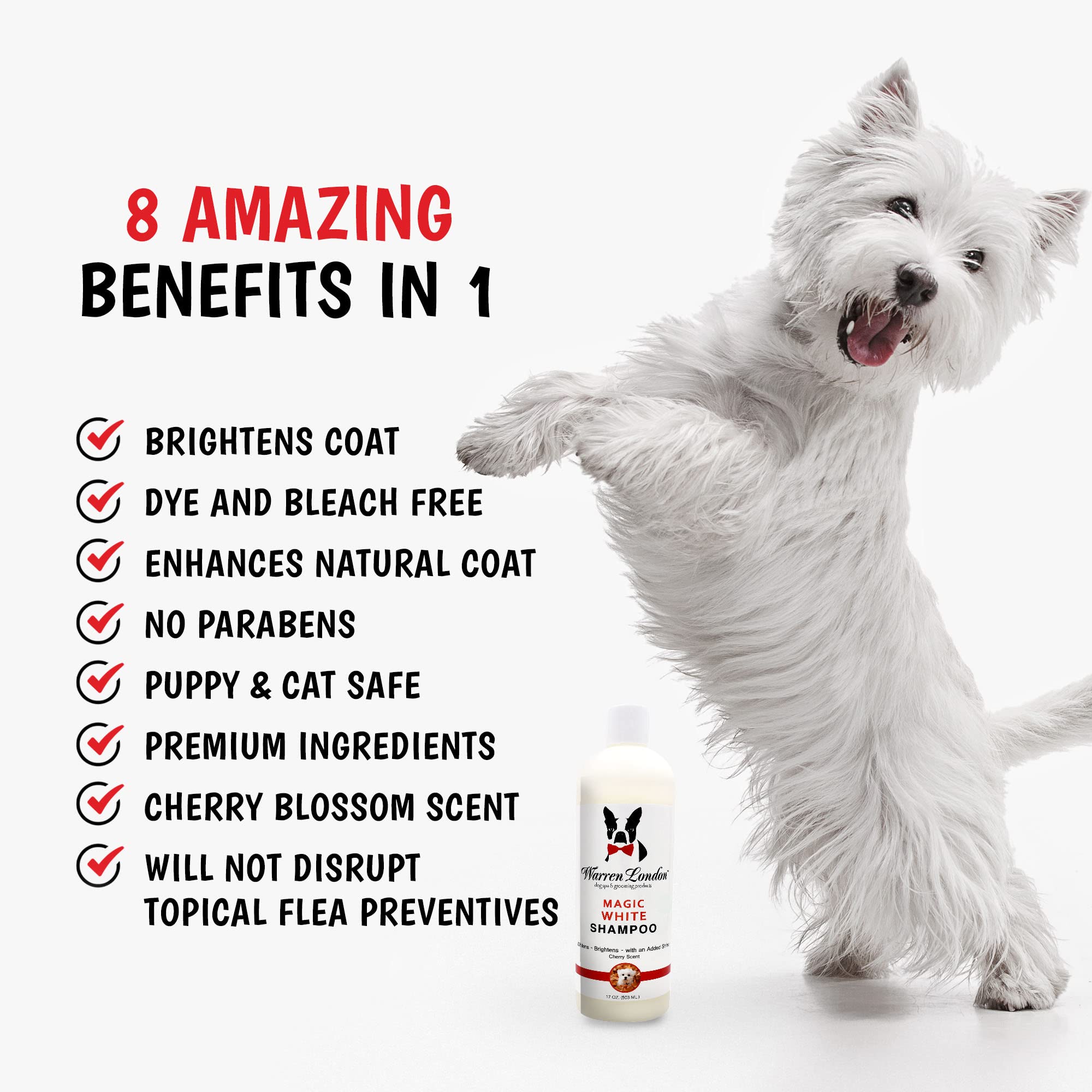 Warren London Magic White Shampoo with cherry fragrance during bath time.