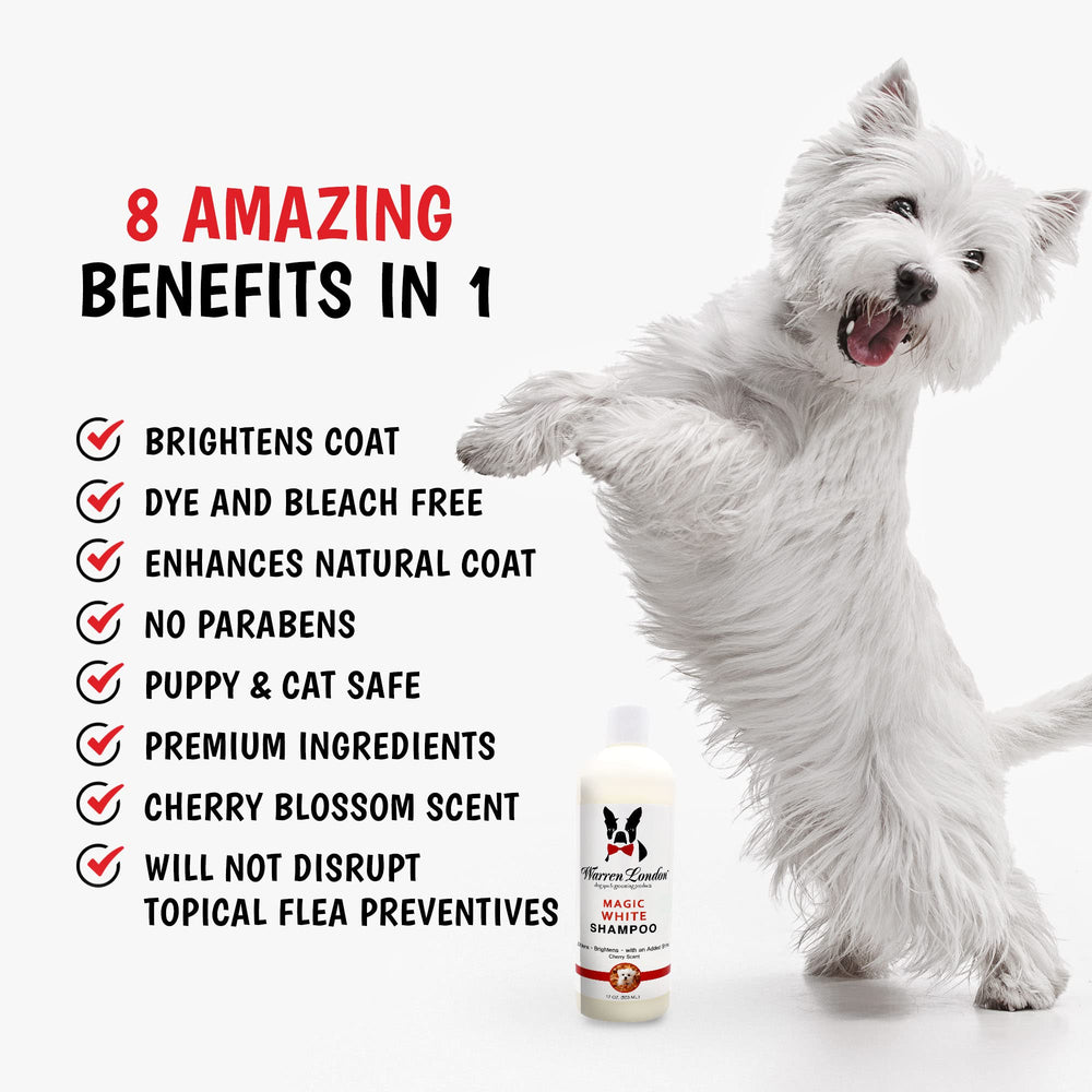 Warren London Magic White Shampoo with cherry fragrance during bath time.