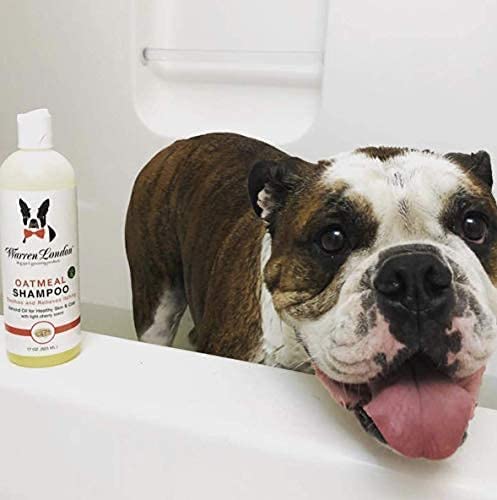 Warren London Oatmeal Dog Shampoo cherry scent bottle evokes fresh scent after bath.