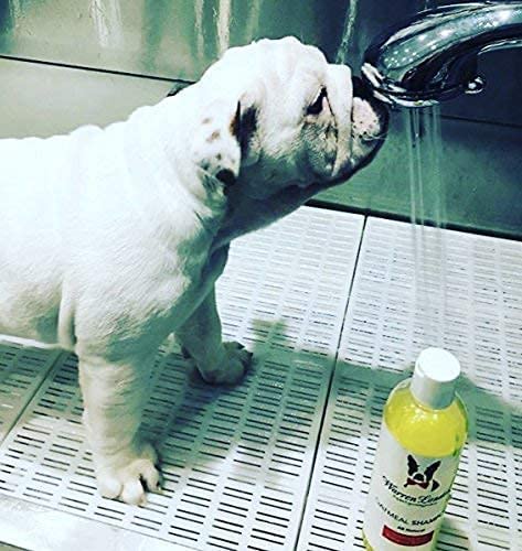 Warren London Oatmeal Dog Shampoo packaging 17 oz size on shelf highlighting USA-made claim.