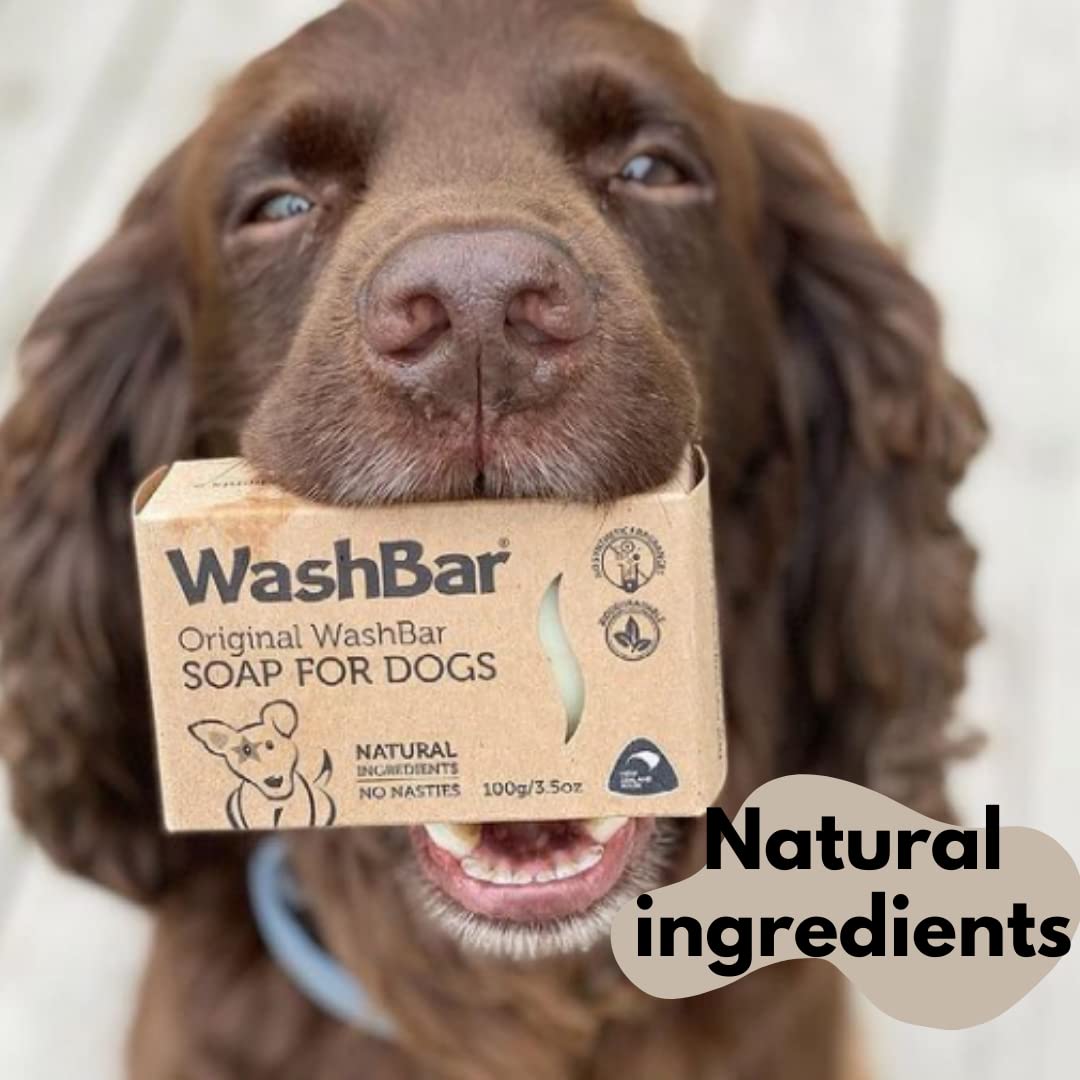 WashBar plastic-free packaging emphasizes eco-friendly grooming.