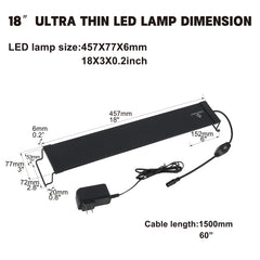 WaterRebirth bright LED light clearly illuminates plants and fish throughout the tank.