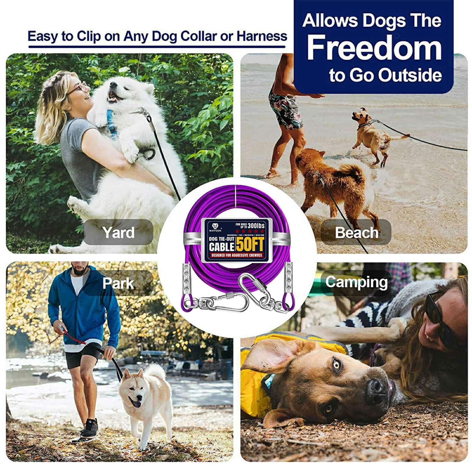 WATFOON purple variant dog tie out cable for visibility and style