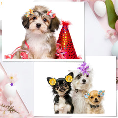 Wavwavw butterfly and floral bows keep pets comfortable during long celebrations.