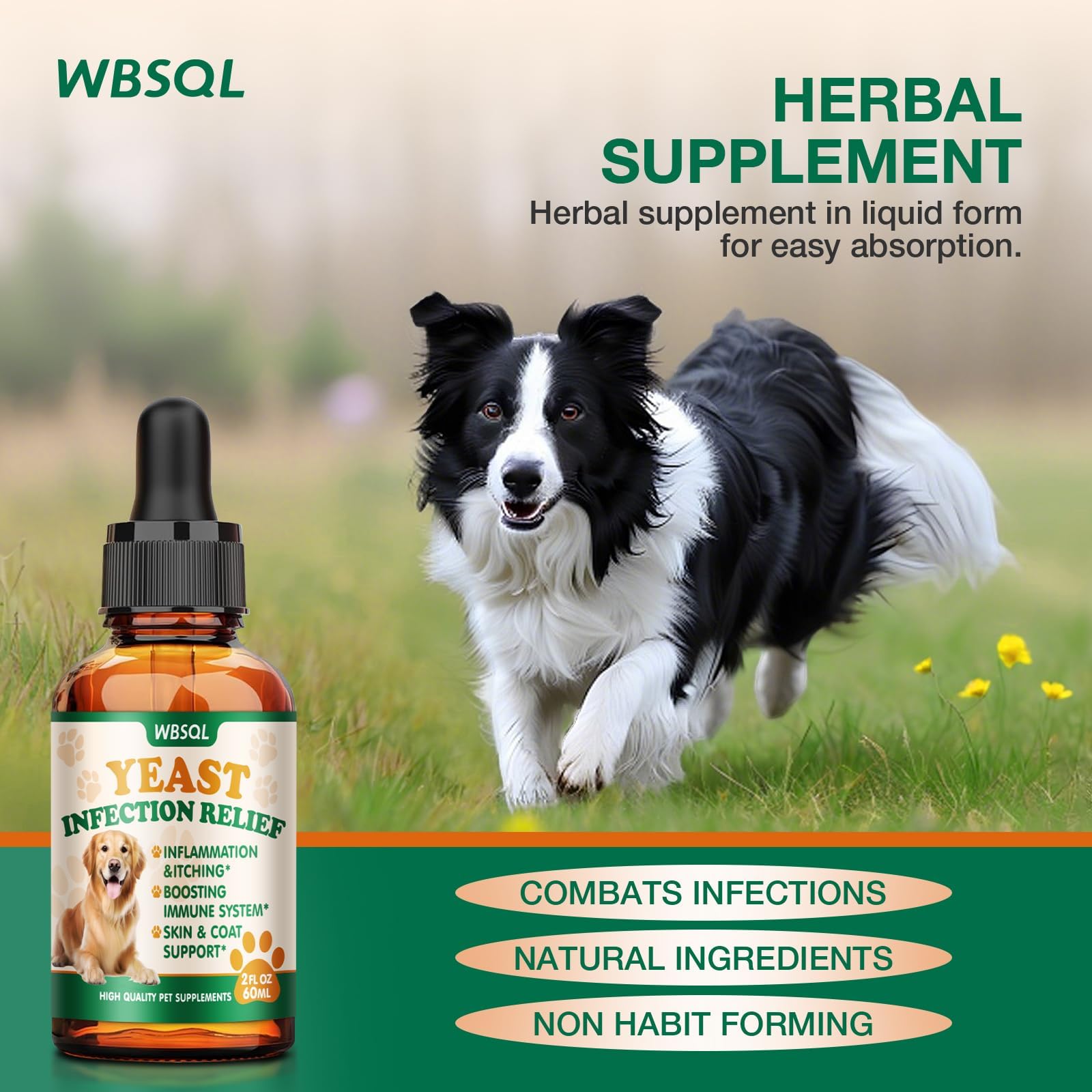 WBSQL pet health support visual showing overall well-being