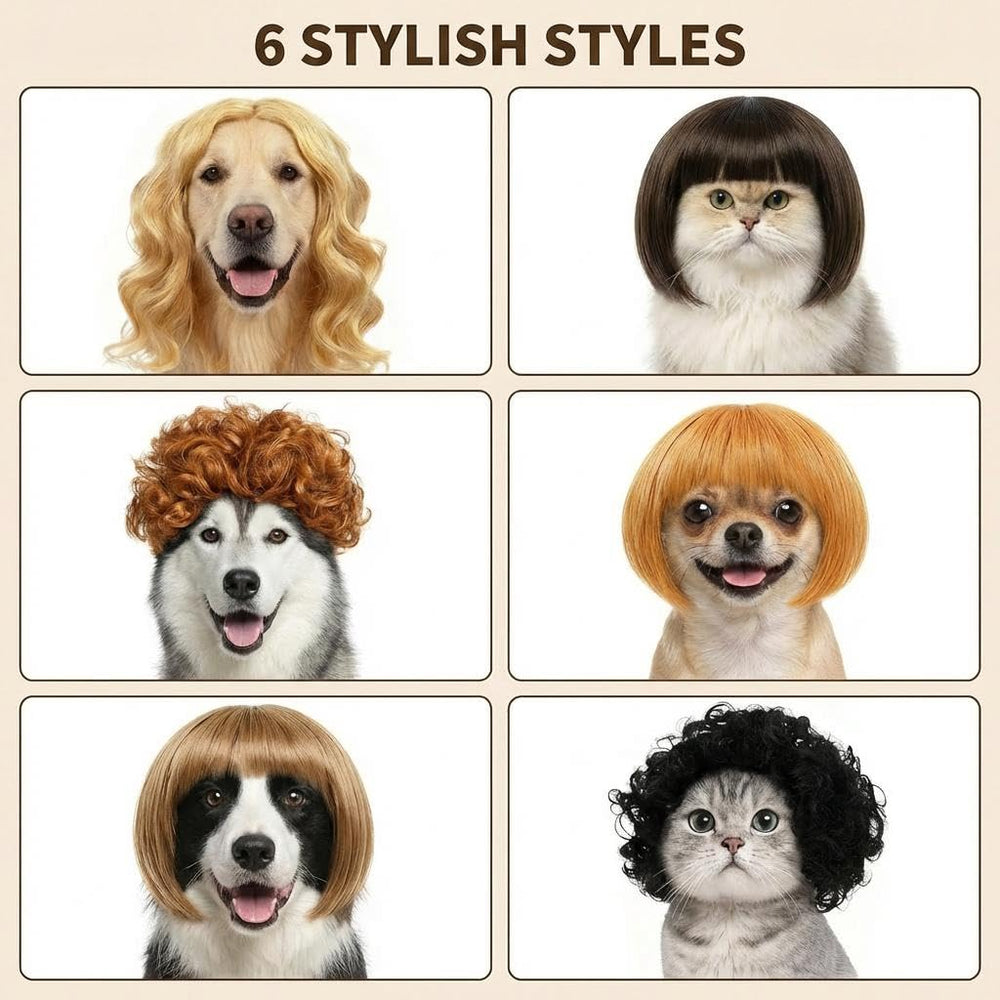 WCCDXGP pet wig makes your companion the center of attention.