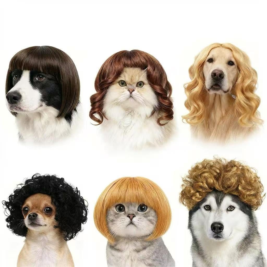 WCCDXGP pet wig for hilariously stylish costume in photoshoots.