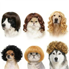 WCCDXGP pet wig for hilariously stylish costume in photoshoots.