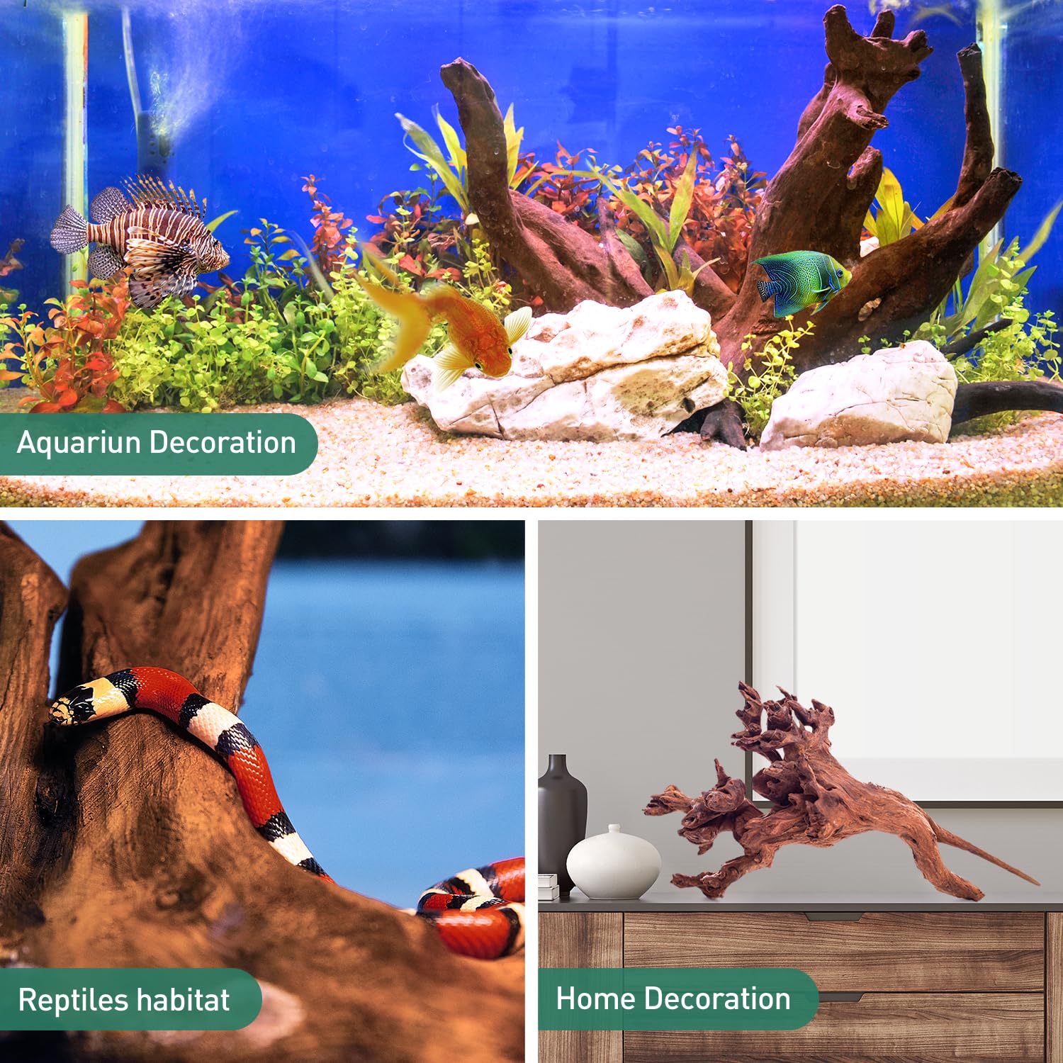 WDEFUN driftwood provides climbing structure in bearded dragon terrariums.