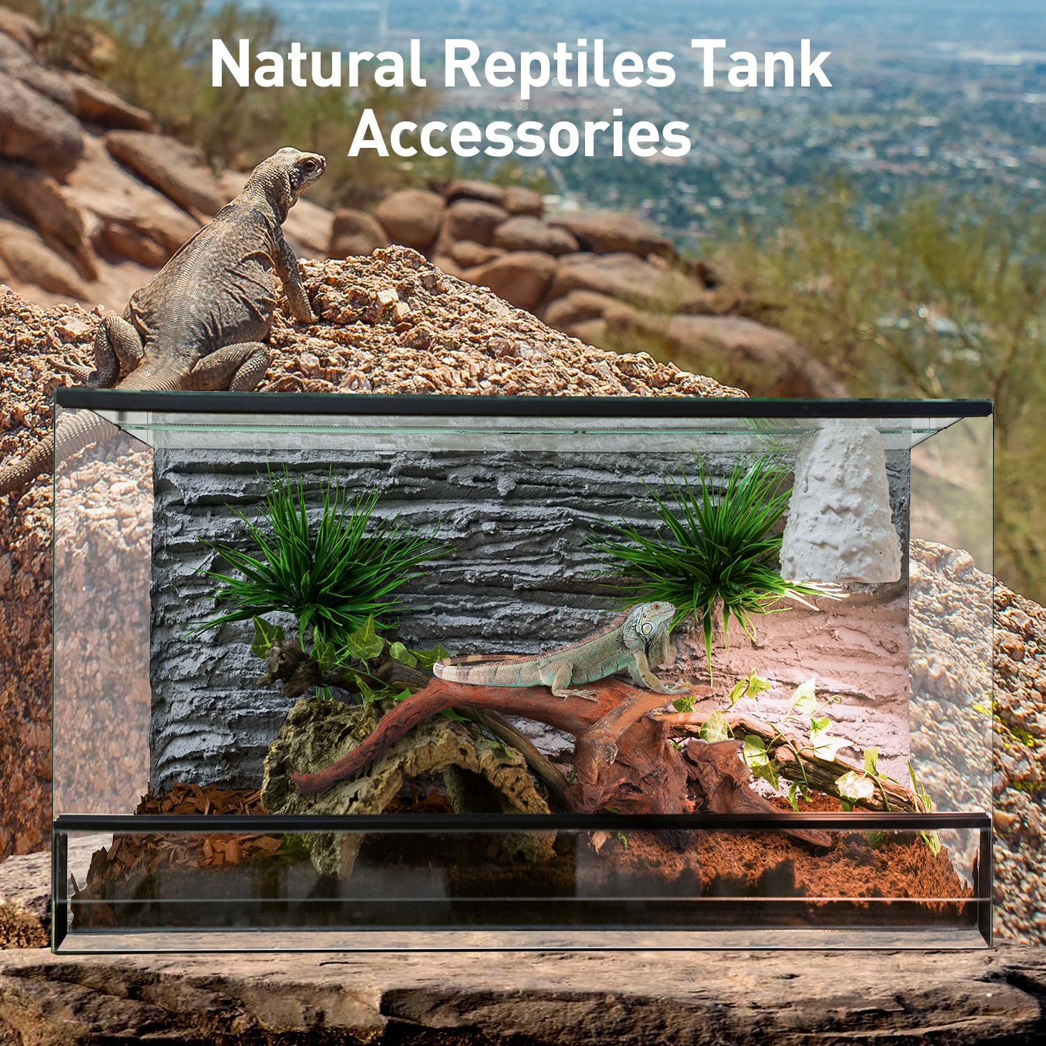 WDEFUN driftwood creates shelter and hiding areas for fish and invertebrates.