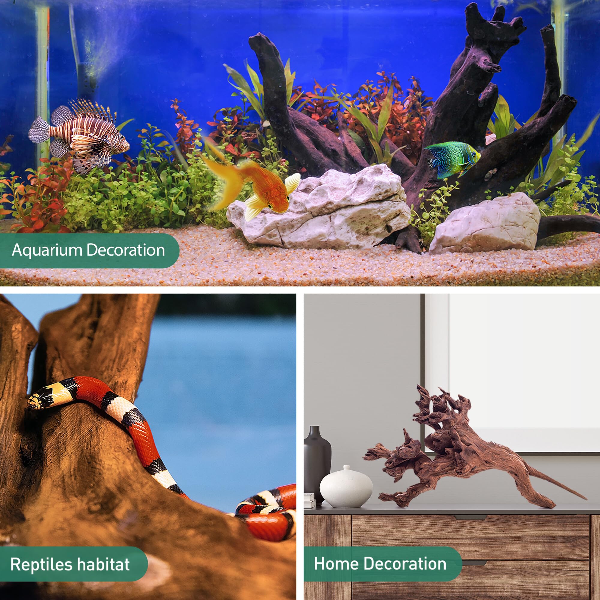 WDEFUN driftwood decor 10-inch piece provides versatile use in terrariums.