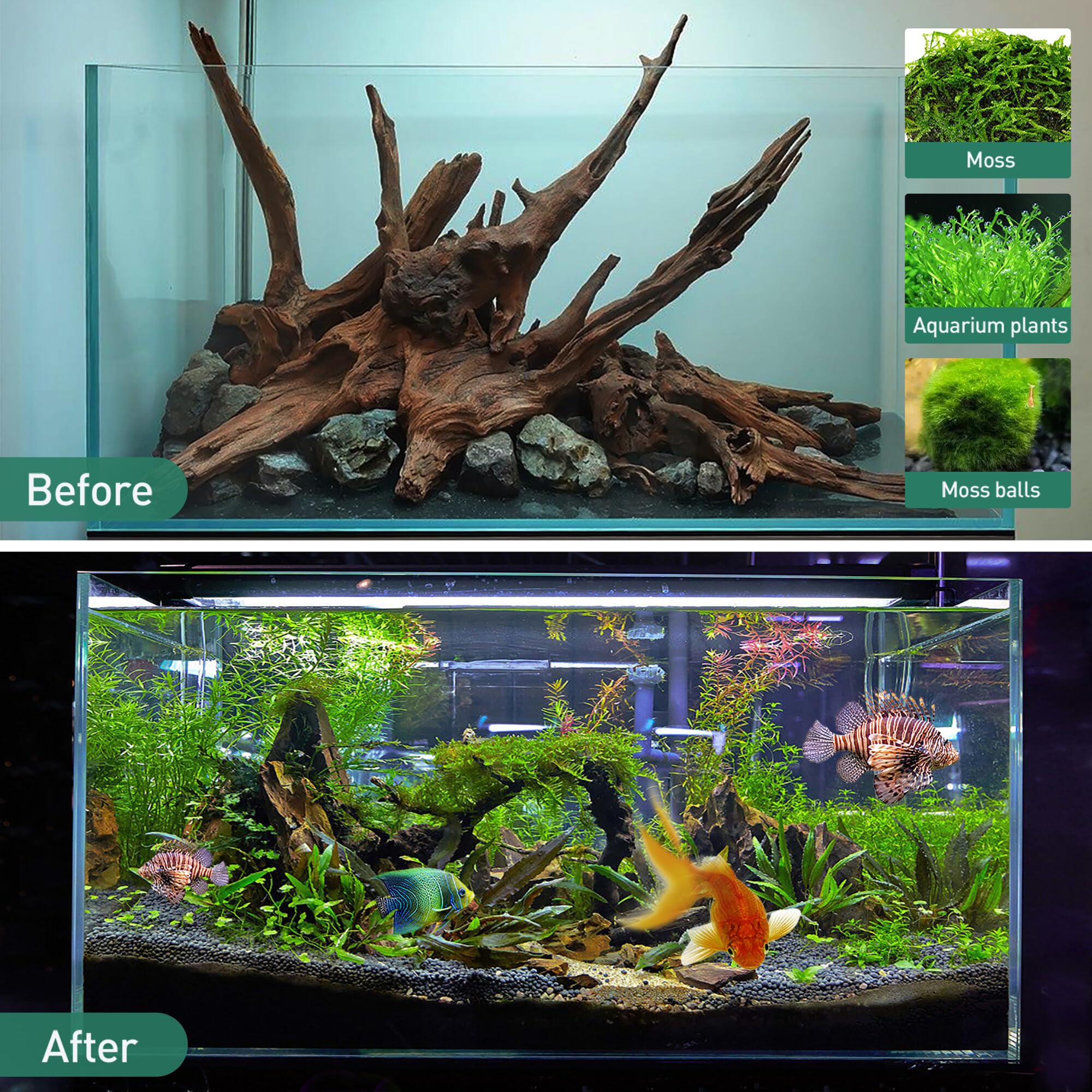 WDEFUN driftwood decor 7-11 inch set enhances aquarium and terrarium aesthetics.