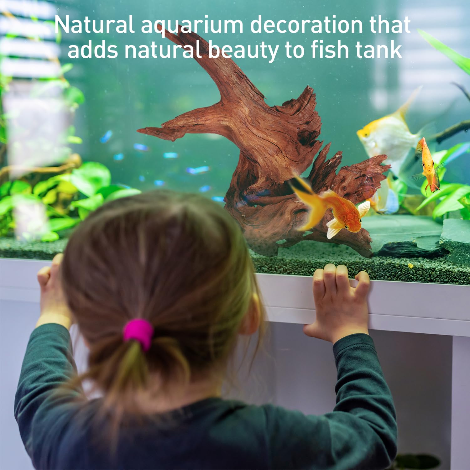 WDEFUN driftwood for reptile enclosures offers sturdy climbing surfaces for bearded dragons.