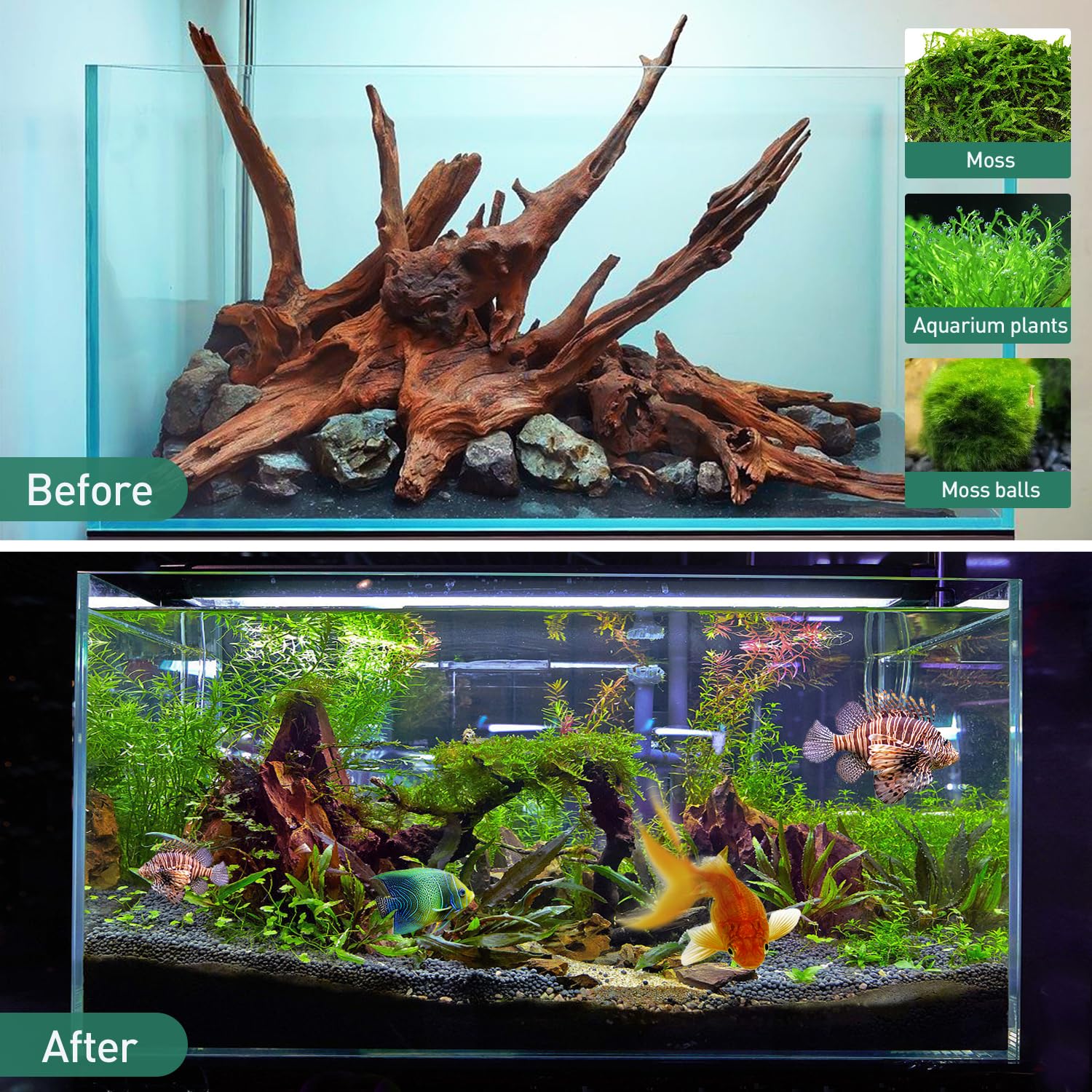 WDEFUN driftwood is sturdy for underwater and dry environments.