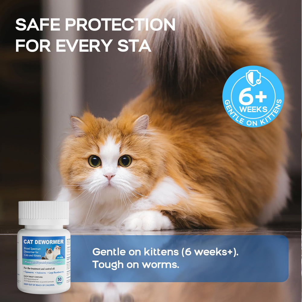 Wdelya dewormer on a table beside a calm, healthy-looking cat.