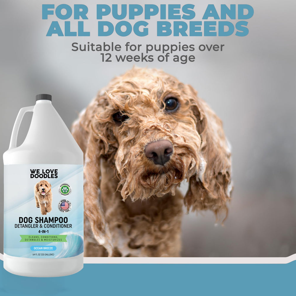 We Love Doodles puppy bath session for gentle cleansing.