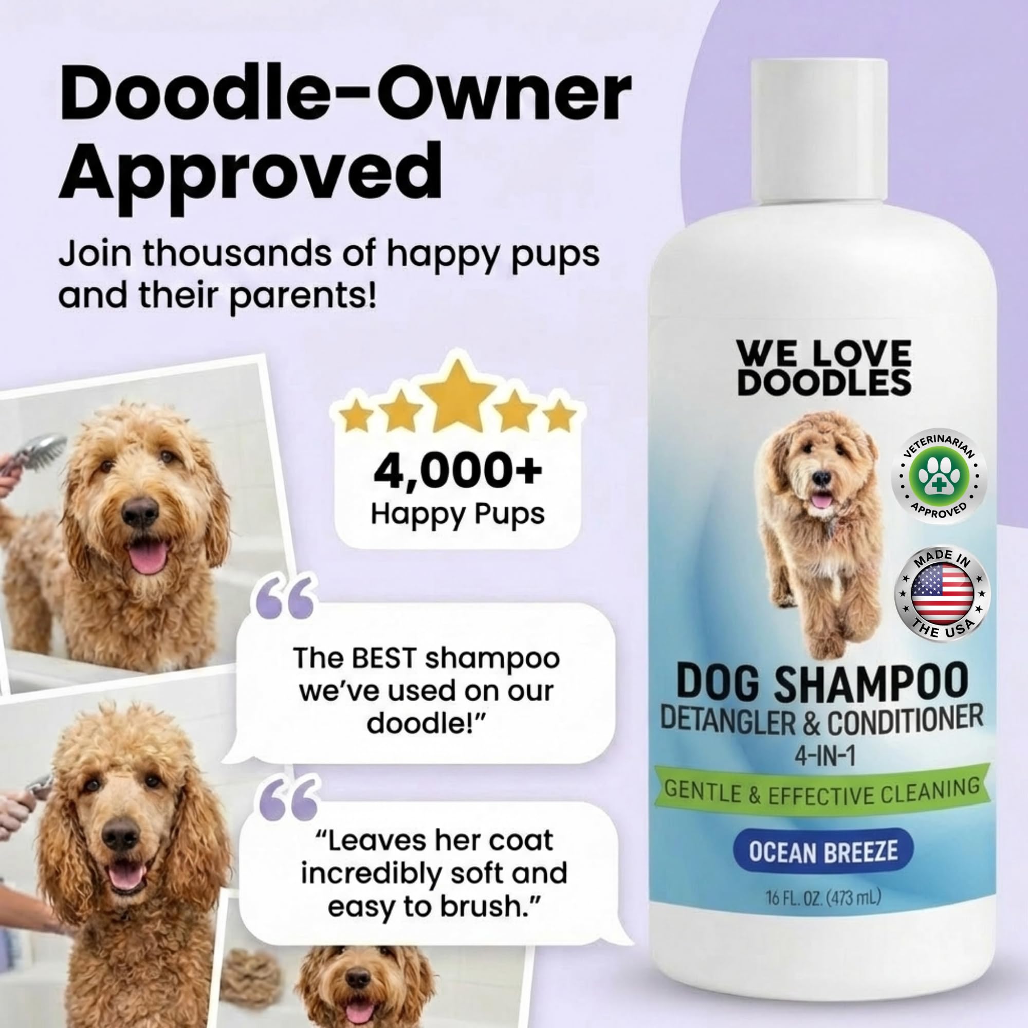 We Love Doodles dog with a soft, shiny coat after Ocean Breeze bath