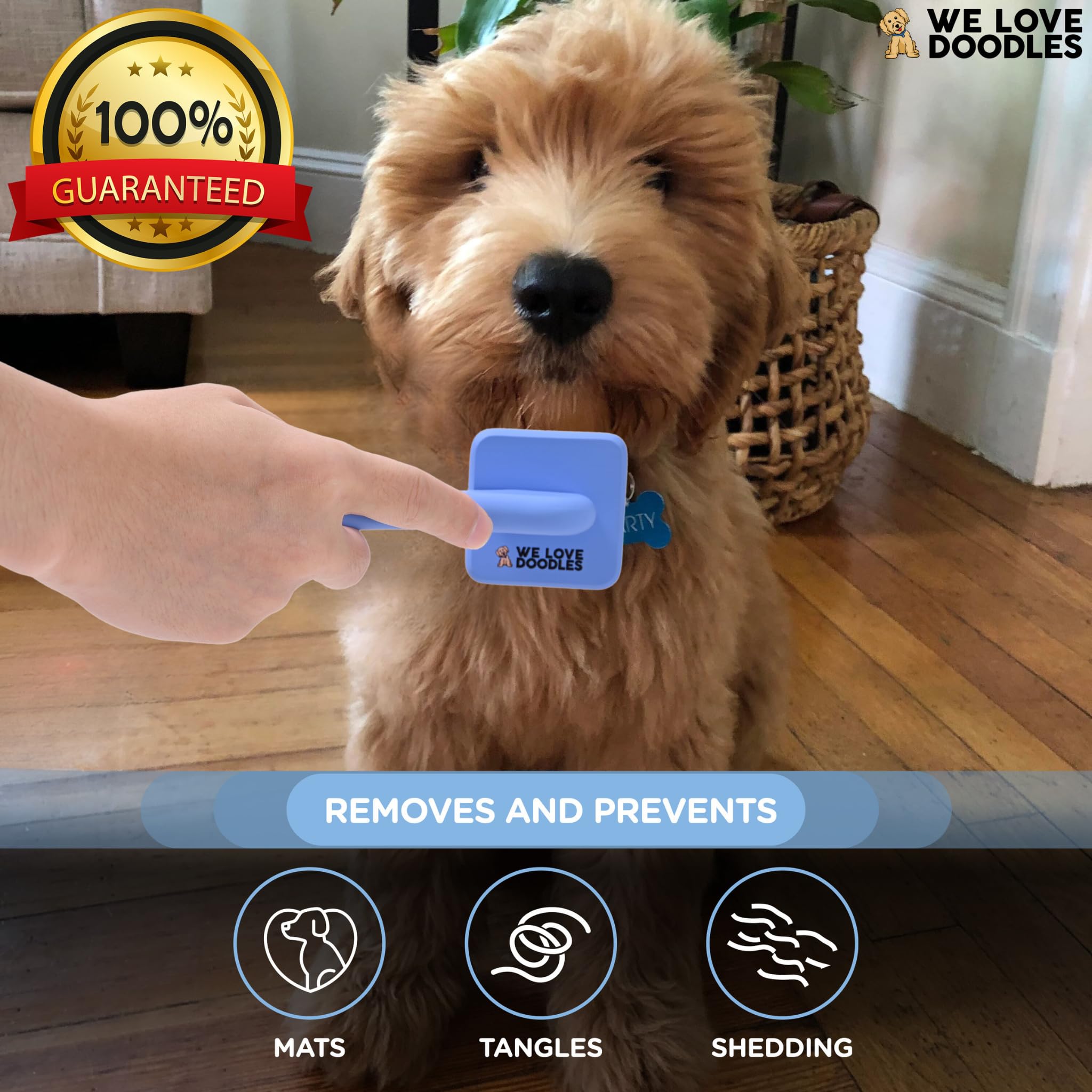 We Love Doodles doodle-friendly design ideal for puppies and small breeds.