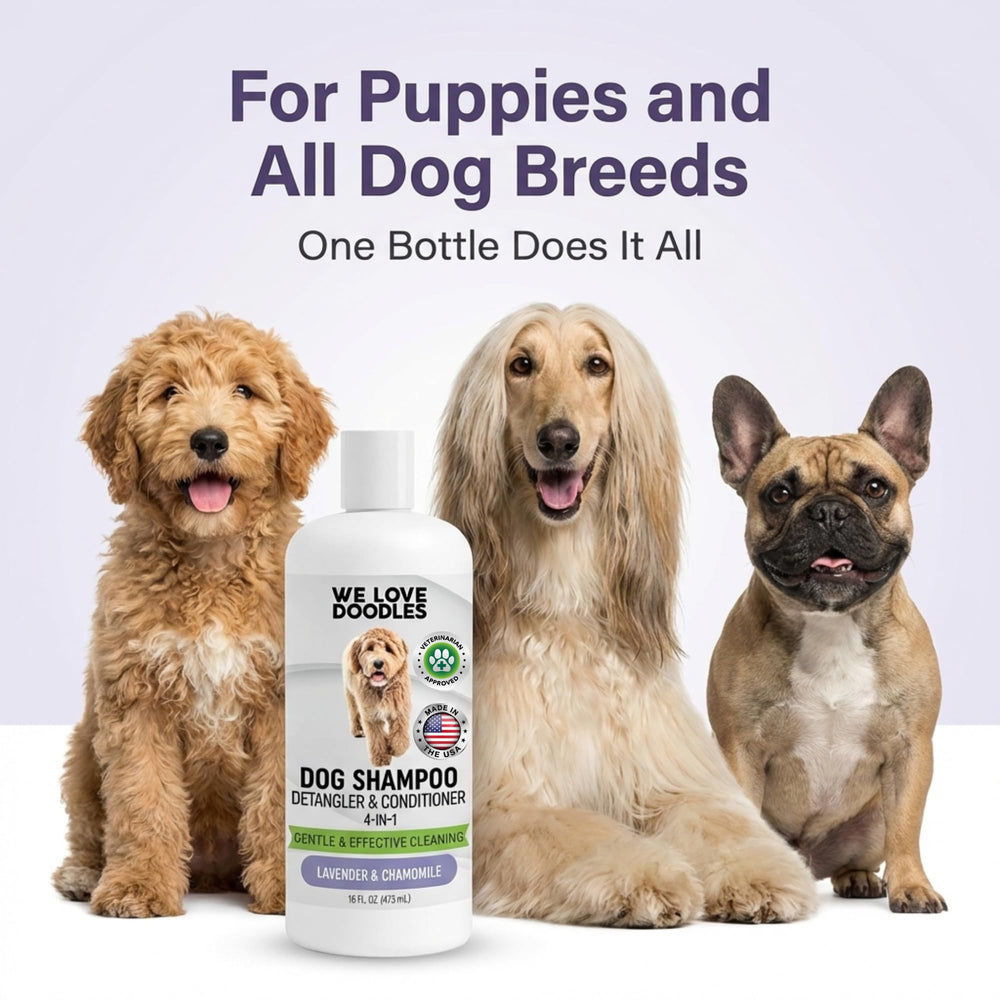 Step-by-step bath guide for We Love Doodles Lavender shampoo application