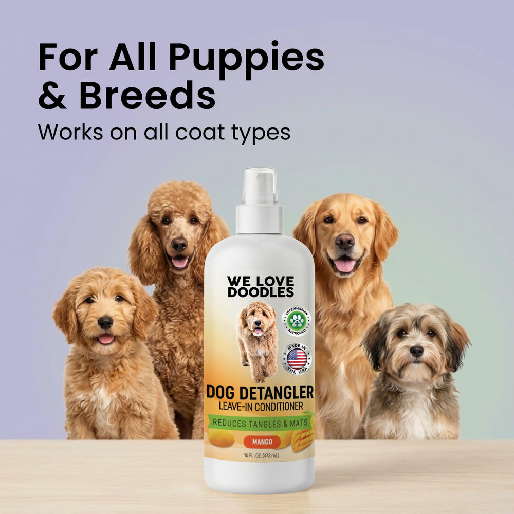 We Love Doodles mango-scented spray on a dog’s coat for a pleasant aroma