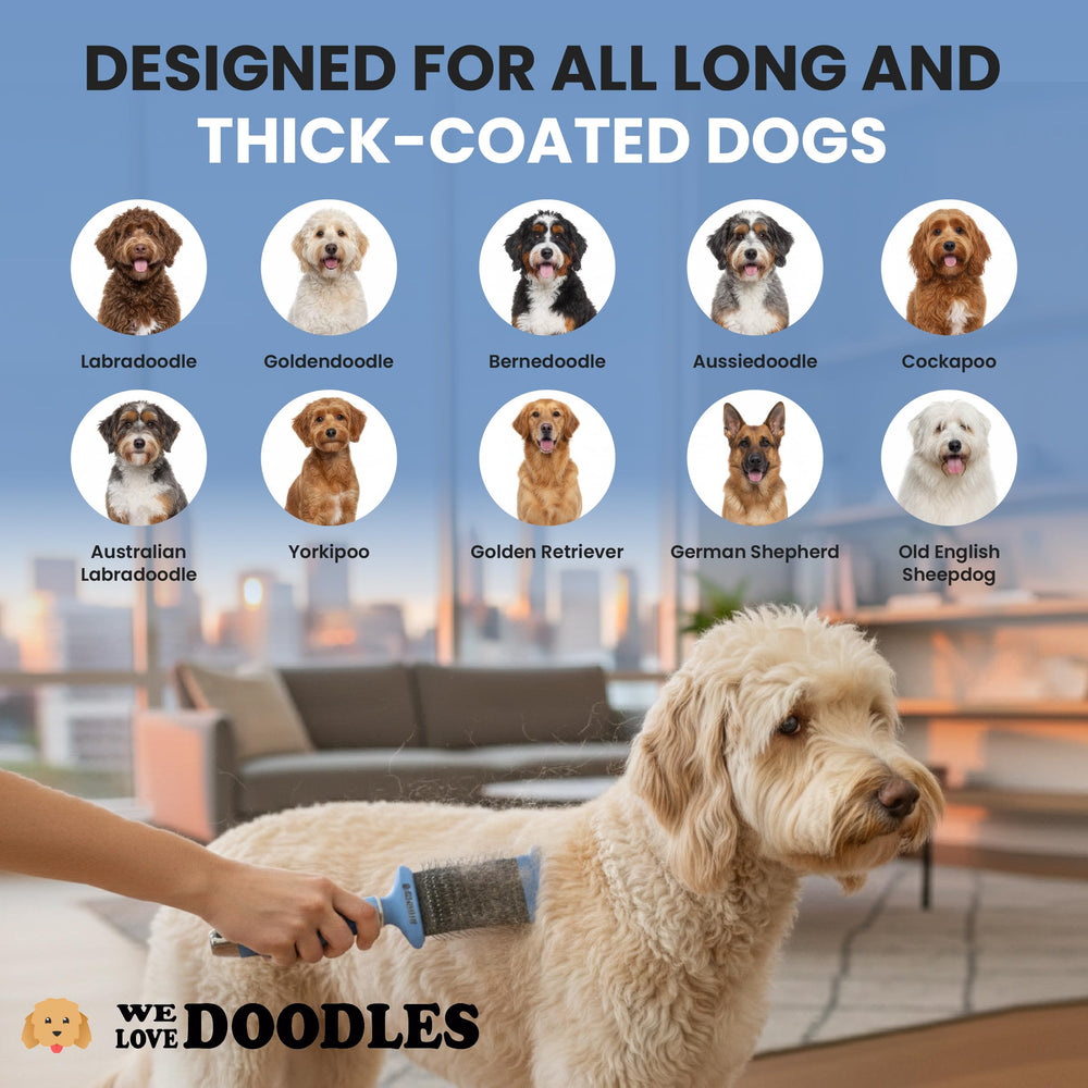 We Love Doodles professional grooming brush for dense dog coats at home.