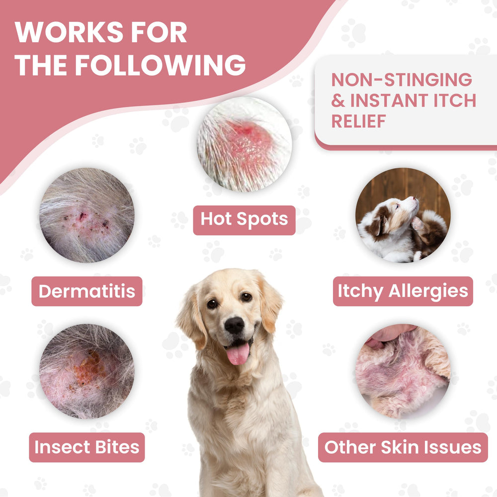 We Love Doodles puppy-safe spray, gentle care without dyes or parabens.