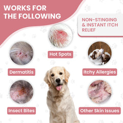 We Love Doodles puppy-safe spray, gentle care without dyes or parabens.