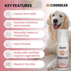 We Love Doodles quick-acting foam targets hotspots with no mess.