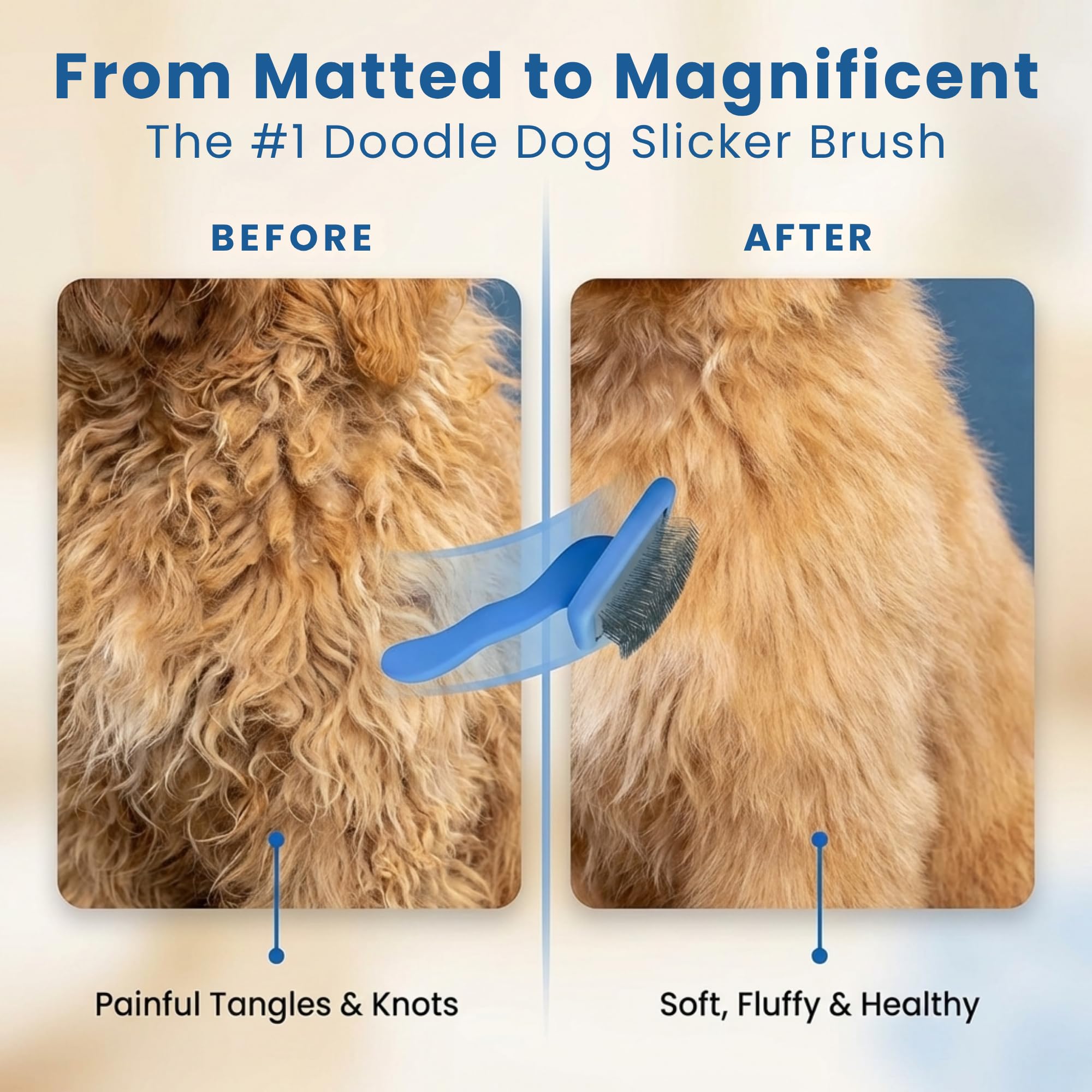 We Love Doodles Slicker Brush coat shines after grooming session