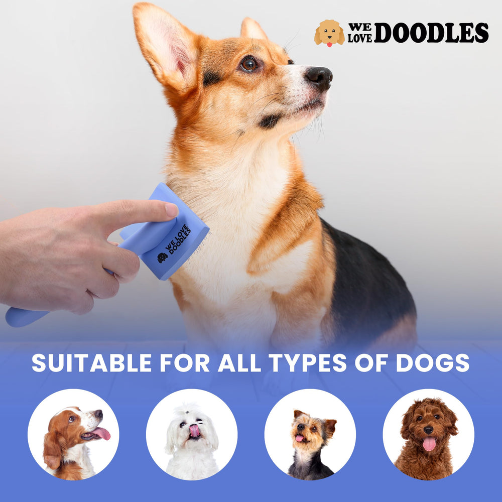 We Love Doodles slicker brush doodle-friendly — ideal for poodle, Goldendoodle, Labradoodle coats.