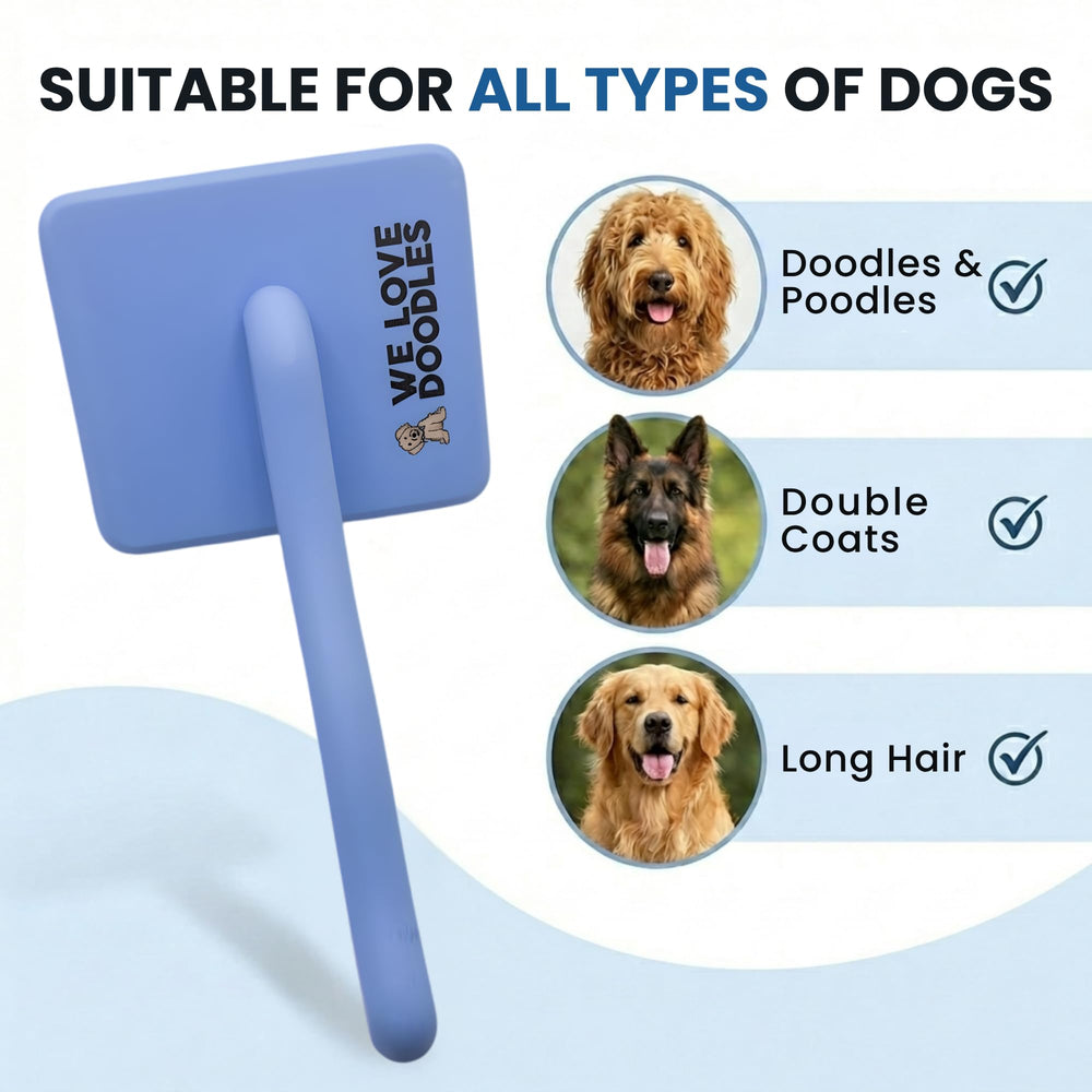 We Love Doodles Slicker Brush ideal for small dogs in grooming routines