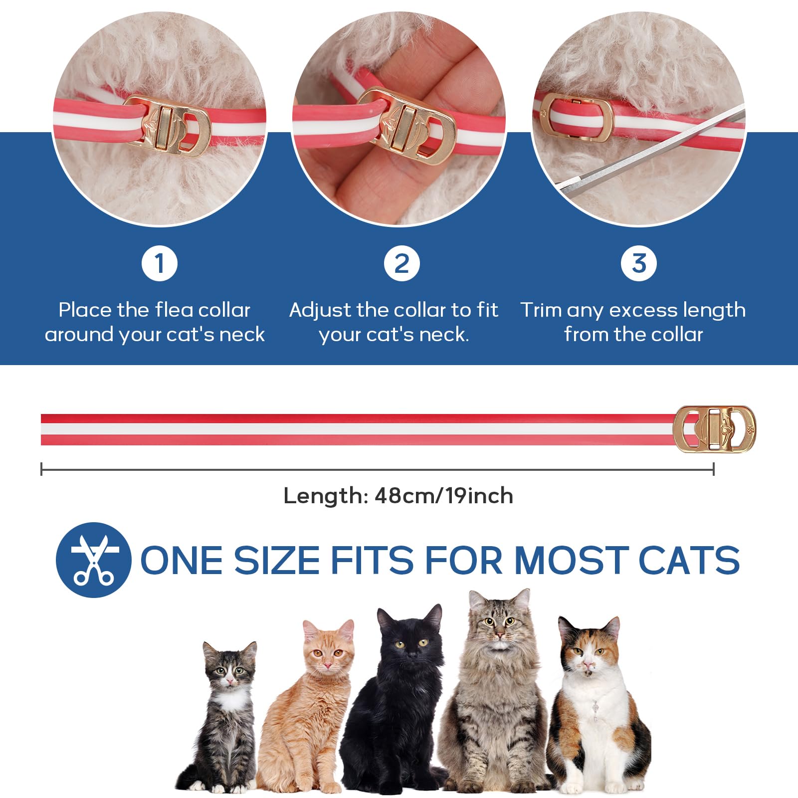 WEALLIN adjustable 19-inch collar fits cats of various sizes.