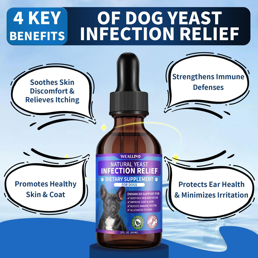 WEALLIN natural yeast drops poured into dog food for absorption.