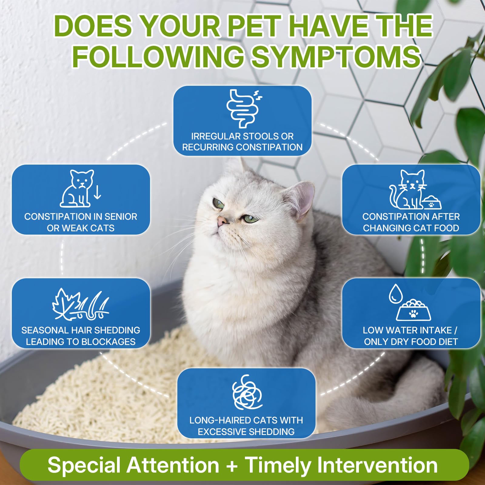WEALLIN chicken-flavor supplement for cats—palatable support for regularity.
