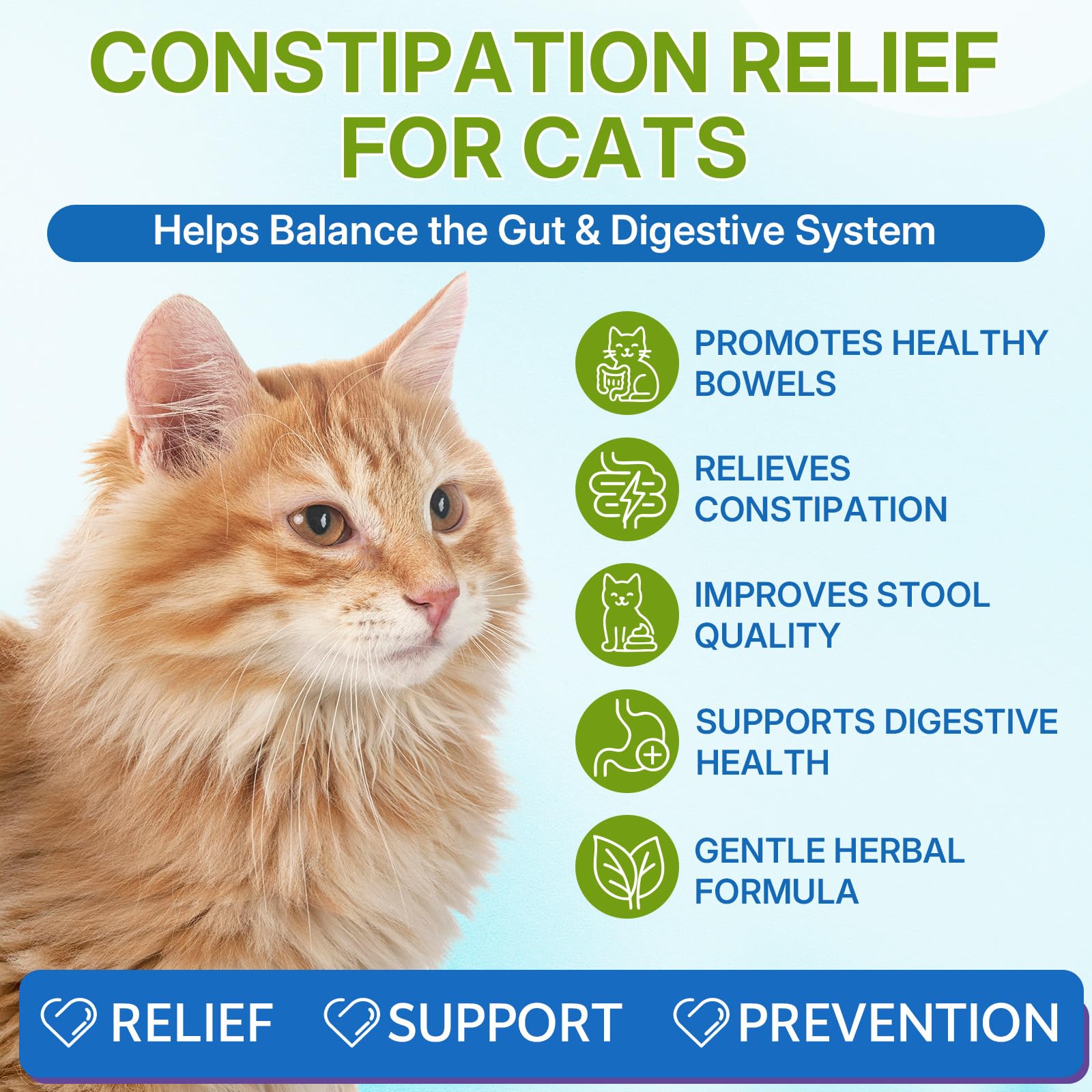 WEALLIN cat constipation relief drops—quickly absorbed, gentle relief for cats.