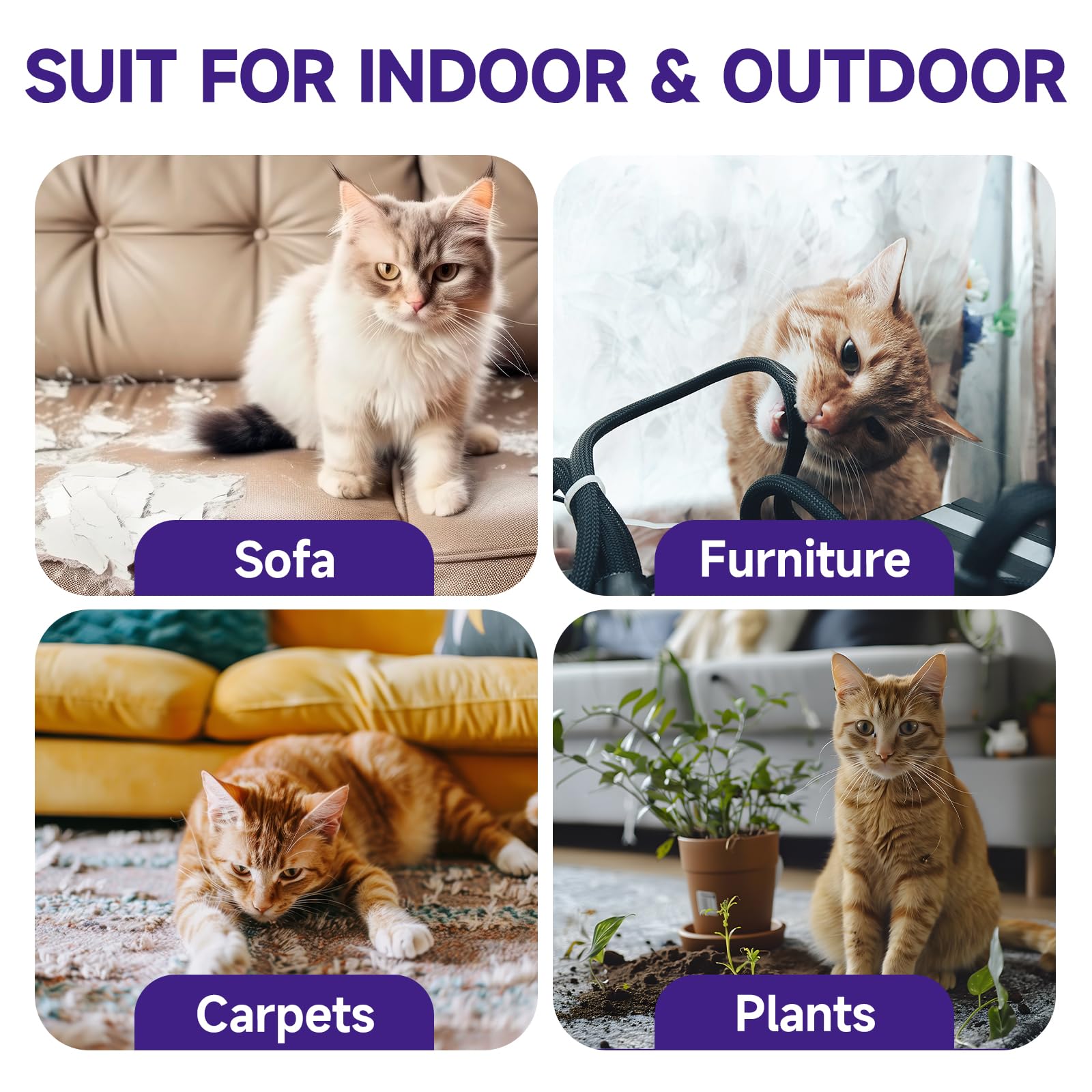 WEALLIN Cat Deterrent Spray protects upholstery and carpets from cat damage.