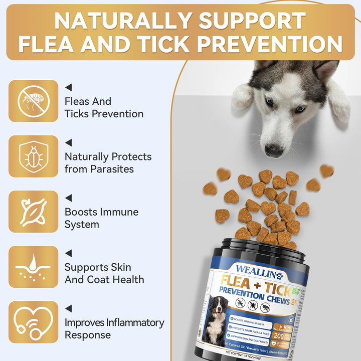 WEALLIN flea and tick chews close-up texture, easy-to-feed bites for dogs.