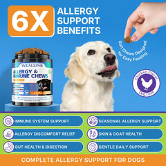 WEALLIN dog allergy relief chews jar back with ingredients.