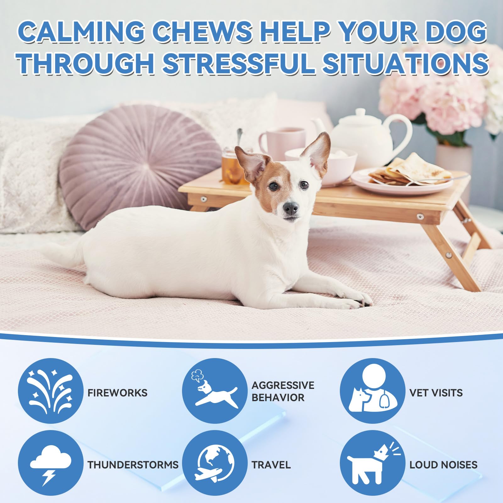 WEALLIN dog calming chews dispensing showing easy serving before stressful events