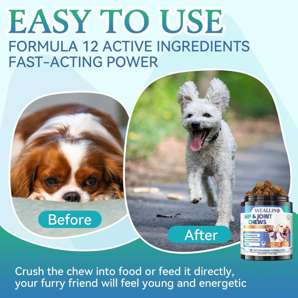 WEALLIN chews in bowl inviting serving for joint wellness